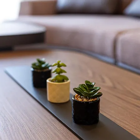 Palace Apartmans * 스렘스카 미트로비차