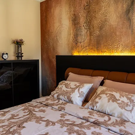 Palace Apartmans 아파트 스렘스카 미트로비차