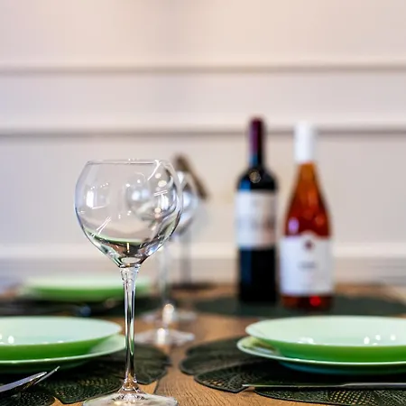 Palace Apartmans * 스렘스카 미트로비차