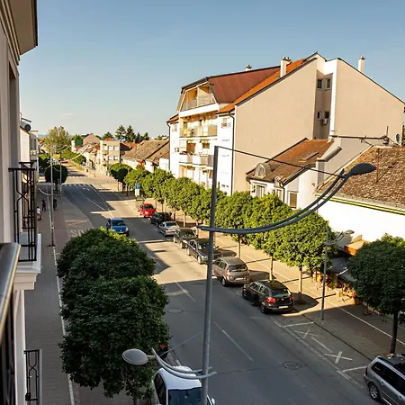 Palace Apartmans 아파트 스렘스카 미트로비차