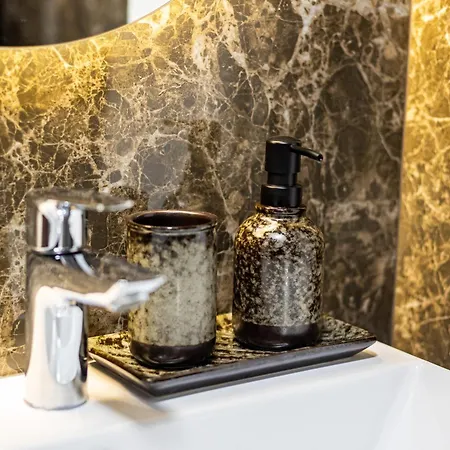 Palace Apartmans 아파트 스렘스카 미트로비차