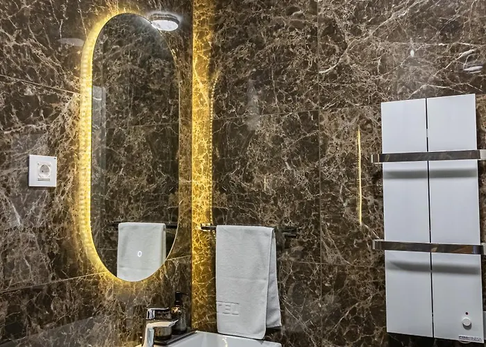 Palace Apartmans アパート スレムスカ・ミトロヴィツァ