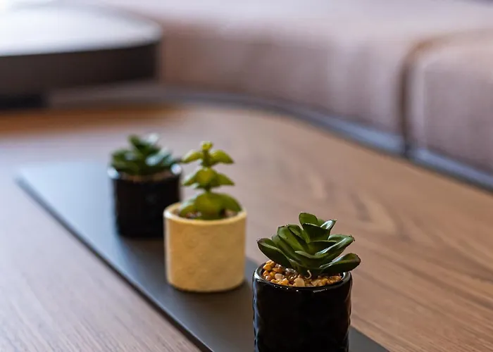 Palace Apartmans * スレムスカ・ミトロヴィツァ