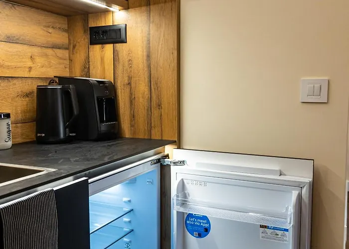 Palace Apartmans スレムスカ・ミトロヴィツァ