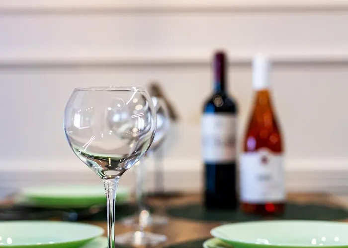 Palace Apartmans * スレムスカ・ミトロヴィツァ