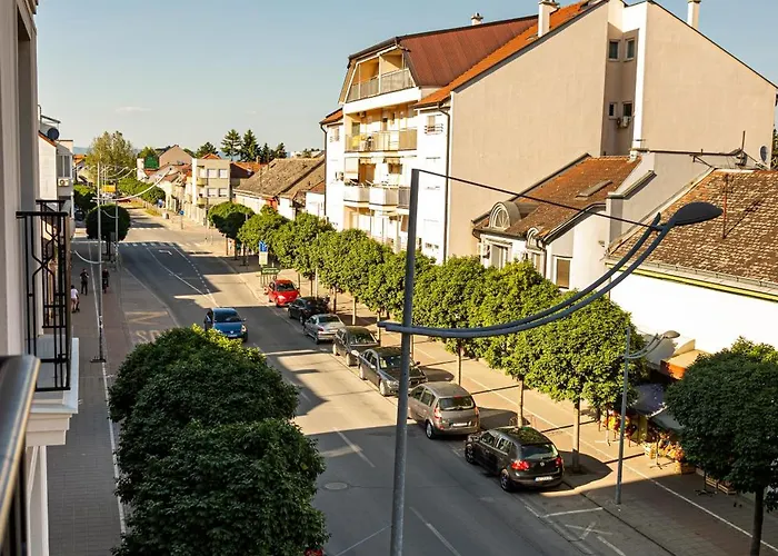 Palace Apartmans アパート スレムスカ・ミトロヴィツァ