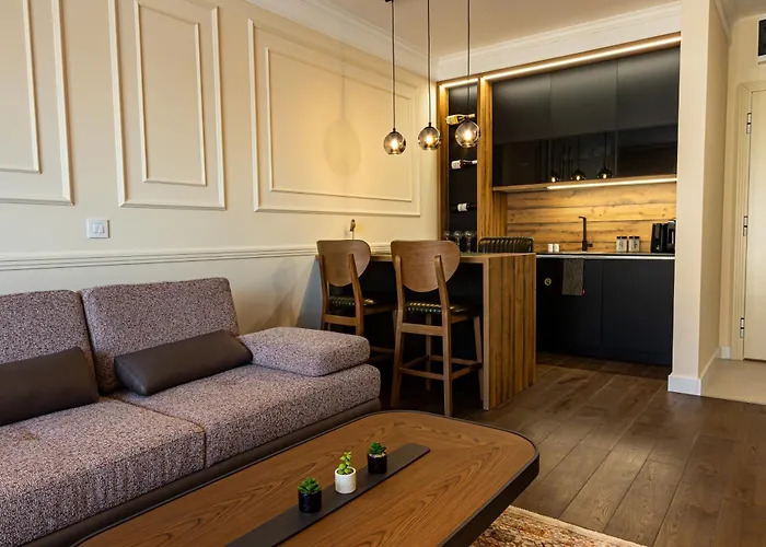 Palace Apartmans * スレムスカ・ミトロヴィツァ